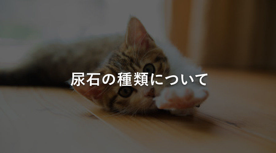 尿石の種類について