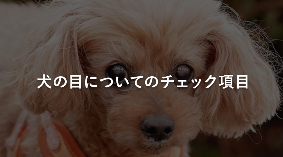 犬の目についてのチェック項目