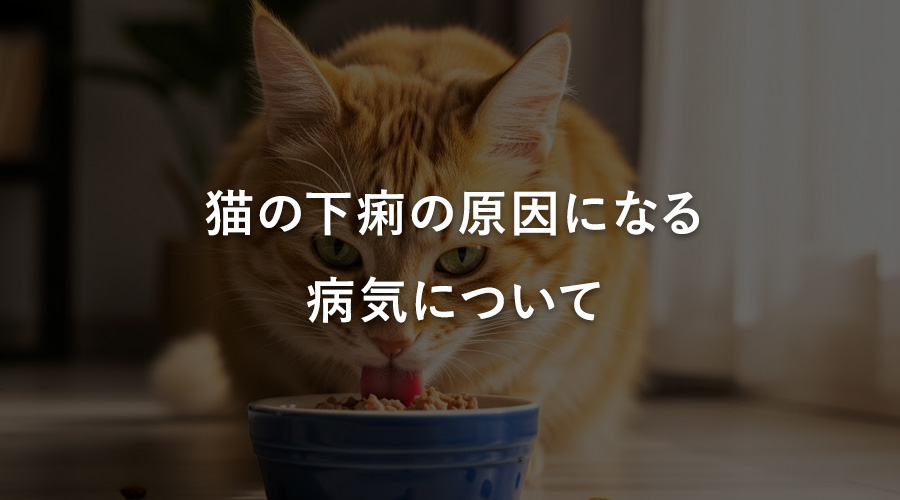 猫の下痢の原因になる病気について