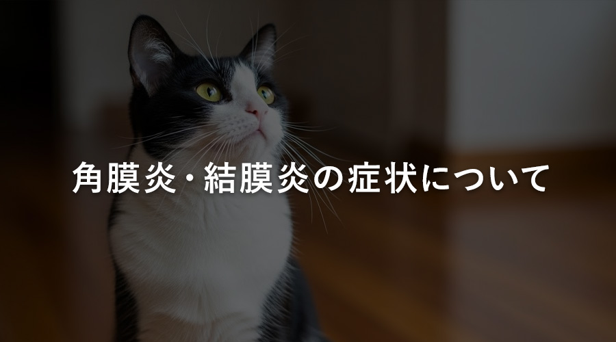 角膜炎・結膜炎の症状について